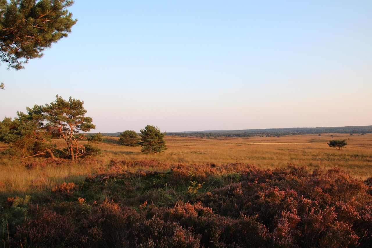Voordelen van een vakantiehuis op de Veluwe